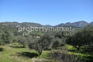 Οικόπεδο 4.770 τ.μ. για πώληση, Ν. Ρεθύμνου, Γεροπόταμος-thumb-5