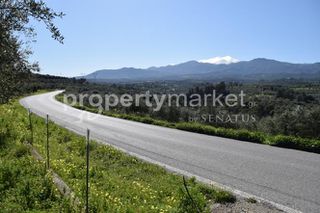 Οικόπεδο 4.770 τ.μ. για πώληση, Ν. Ρεθύμνου, Γεροπόταμος-thumb-4