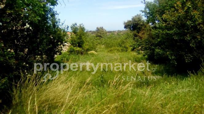 Αγροτεμάχια 468 τ.μ. πρός πώληση, Ν. Ρεθύμνου, Ρέθυμνο