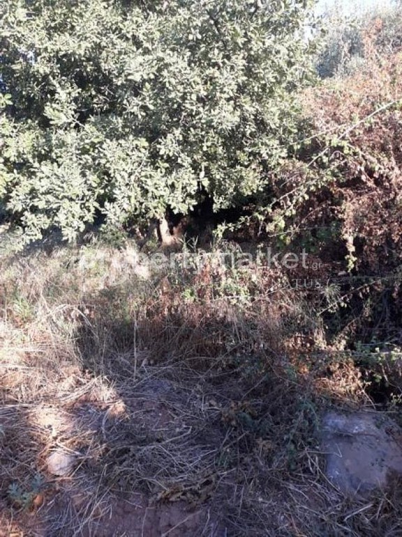 Οικόπεδο 750 τ.μ. πρός πώληση, Ν. Ρεθύμνου, Νικηφόρος Φωκάς