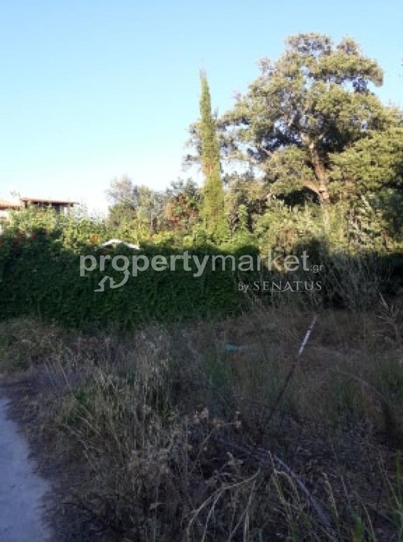 Οικόπεδο 750 τ.μ. πρός πώληση, Ν. Ρεθύμνου, Νικηφόρος Φωκάς