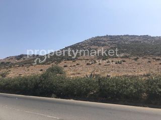 Οικόπεδο 11.000 τ.μ. για πώληση