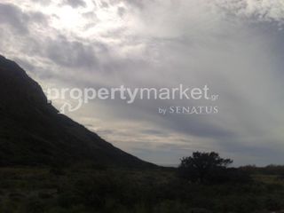 Οικόπεδο 2.380 τ.μ. προς πώληση, Τριόπετρα-thumb-17