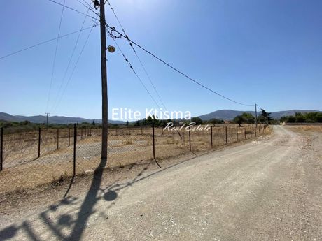 Αγροτεμάχια 736τ.μ. για πώληση-Κερατέα » Ρουντζέρι λεμπρού