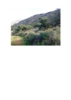 Parcel 3.600sqm for sale-Ierapetra » Kavousi