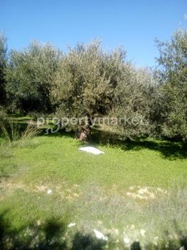 Land plot 600sqm for sale-Arkalochori » Center