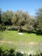 Οικόπεδο 600 τ.μ. για πώληση