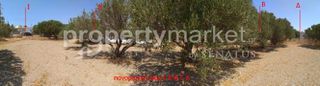 Οικόπεδο 440 τ.μ. για πώληση, Ν. Λασιθίου, Ιεράπετρα-thumb-4
