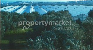 Parcel 20.000 sqm for sale