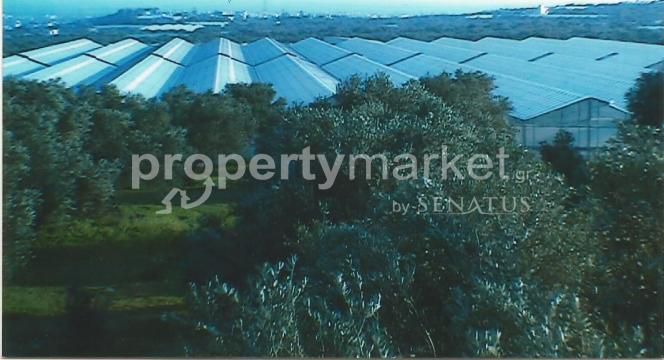 Αγροτεμάχια 20.000 τ.μ. για πώληση, Ν. Λασιθίου, Ιεράπετρα