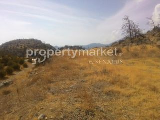 Αγροτεμάχια 5.500 τ.μ. για πώληση, Ν. Λασιθίου, Ιεράπετρα-thumb-8
