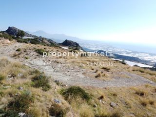 Αγροτεμάχια 5.500 τ.μ. για πώληση, Ν. Λασιθίου, Ιεράπετρα-thumb-7