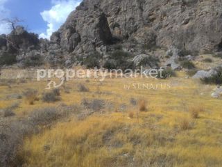 Αγροτεμάχια 5.500 τ.μ. για πώληση, Ν. Λασιθίου, Ιεράπετρα-thumb-6