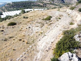 Αγροτεμάχια 5.500 τ.μ. για πώληση, Ν. Λασιθίου, Ιεράπετρα-thumb-1