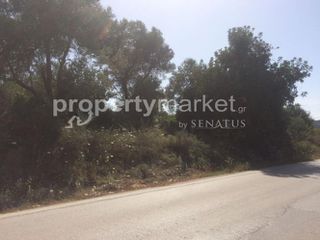 Αγροτεμάχια 1.283 τ.μ. προς πώληση, Πέραμα Γεροποτάμου-thumb-4