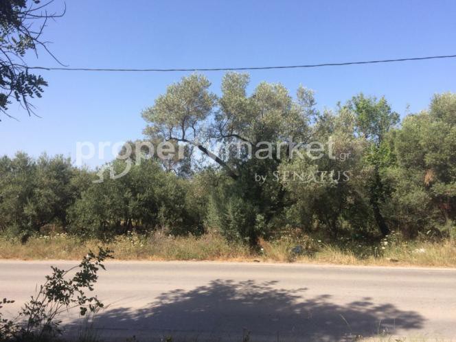 Αγροτεμάχια 1.283 τ.μ. πρός πώληση, Ν. Ρεθύμνου, Γεροπόταμος