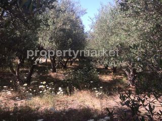 Αγροτεμάχια 1.283 τ.μ. προς πώληση, Πέραμα Γεροποτάμου-thumb-1