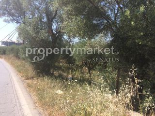 Αγροτεμάχια 1.283 τ.μ. προς πώληση, Πέραμα Γεροποτάμου-thumb-7