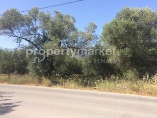 Αγροτεμάχια 1.283 τ.μ. προς πώληση, Πέραμα Γεροποτάμου-thumb-6