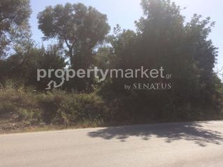 Αγροτεμάχια 1.283 τ.μ. προς πώληση, Πέραμα Γεροποτάμου-thumb-8