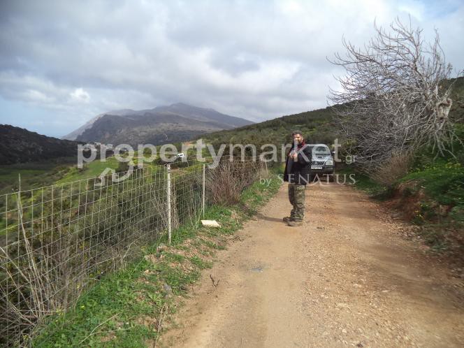 Αγροτεμάχια 10.000 τ.μ. προς πώληση, Κέντρο Κισσάμου