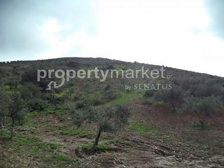 Parcel 10.000sqm for sale-Kissamos » Center