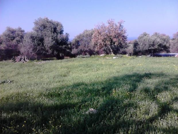 Οικόπεδο 1.060 τ.μ. πρός πώληση, Ν. Ρεθύμνου, Νικηφόρος Φωκάς