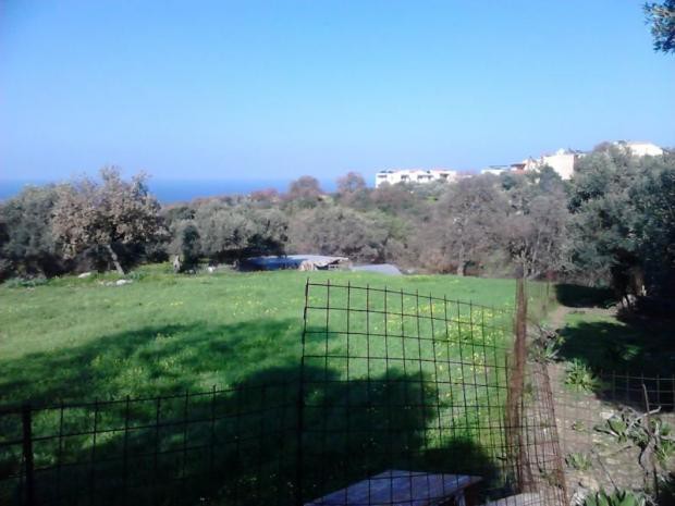 Οικόπεδο 1.060 τ.μ. πρός πώληση, Ν. Ρεθύμνου, Νικηφόρος Φωκάς