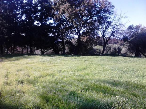 Οικόπεδο 1.060 τ.μ. πρός πώληση, Ν. Ρεθύμνου, Νικηφόρος Φωκάς