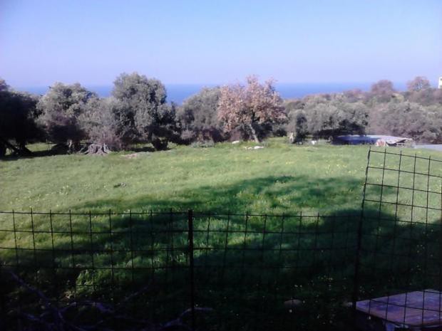 Οικόπεδο 1.060 τ.μ. πρός πώληση, Ν. Ρεθύμνου, Νικηφόρος Φωκάς