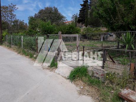 Οικόπεδο 370τ.μ. για πώληση-Χίος » Πόλη χίου
