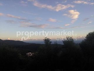Αγροτεμάχια 900 τ.μ. για πώληση