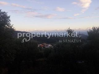 Αγροτεμάχια 900 τ.μ. για πώληση, Ν. Λασιθίου, Ιεράπετρα-thumb-2