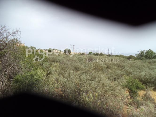 Οικόπεδο 4.392 τ.μ. προς πώληση, Κέντρο Βάμου