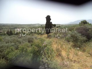 Οικόπεδο 4.392 τ.μ. για πώληση, Ν. Χανίων, Βάμος-thumb-6