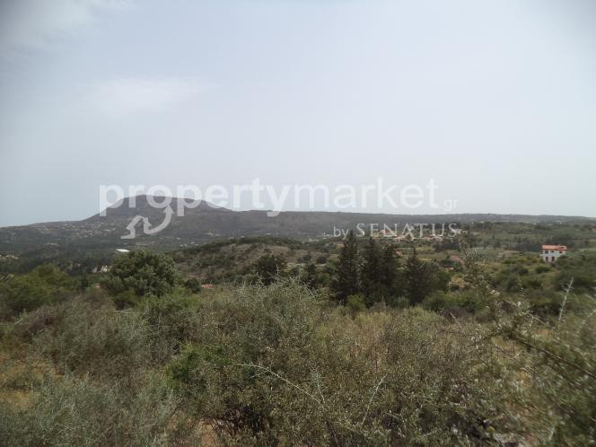 Οικόπεδο 4.392 τ.μ. προς πώληση, Κέντρο Βάμου