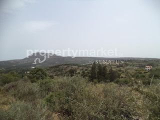 Οικόπεδο 4.392 τ.μ. για πώληση, Ν. Χανίων, Βάμος-thumb-2