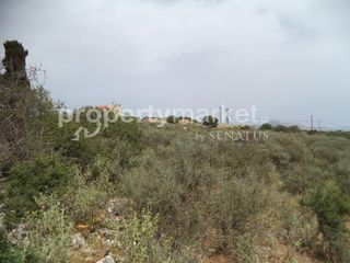 Οικόπεδο 4.392 τ.μ. για πώληση, Ν. Χανίων, Βάμος-thumb-7