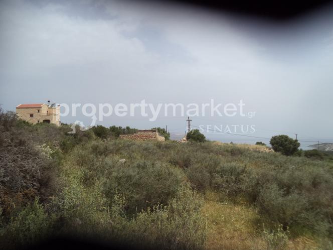 Οικόπεδο 4.392 τ.μ. προς πώληση, Κέντρο Βάμου