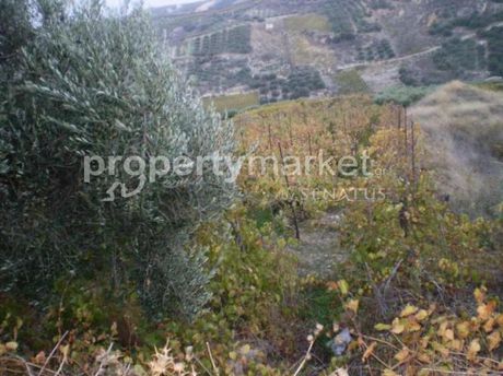 Οικόπεδο 4.200τ.μ. για πώληση-Αρχάνες » Επάνω αρχάνες