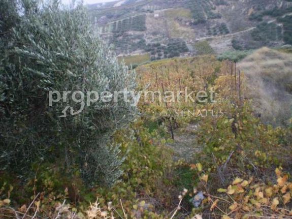 Land plot 4.200 sqm for sale, Heraklion Prefecture, Archanes