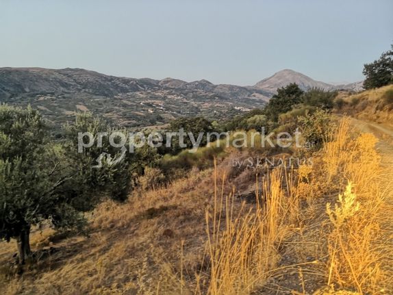 Αγροτεμάχια 6.062 τ.μ. για πώληση, Ν. Ρεθύμνου, Λάμπη