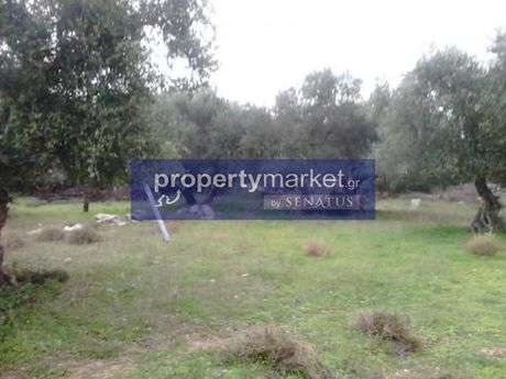 Parcel 5.500sqm for sale-Nikiforos Fokas » Violi Charaki