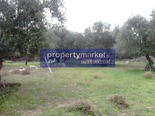 Αγροτεμάχια 5.500 τ.μ. για πώληση