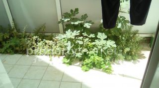 Studio / γκαρσονιέρα 20 τ.μ. για πώληση