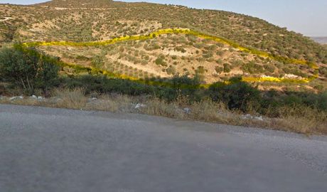 Αγροτεμάχια 30.700τ.μ. για πώληση-Αισωνία » Παλιούρι
