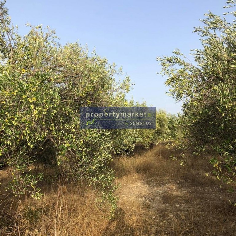 Αγροτεμάχια 4.500 τ.μ. πρός πώληση, Ν. Ρεθύμνου, Γεροπόταμος