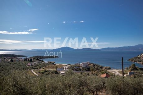 Parcel 7.570sqm for sale-Aisonia » Chrisi Akti Panagias