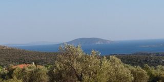 Αγροτεμάχια 4.780 τ.μ. πρός πώληση, Αργολίδα, Ασίνη-thumb-7