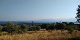 Αγροτεμάχια 4.780 τ.μ. πρός πώληση, Αργολίδα, Ασίνη-thumb-8